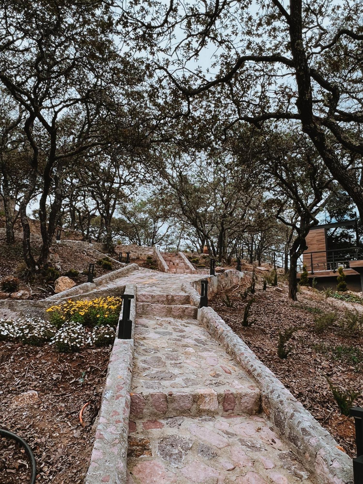 La Foret Cabanas Boutique León Dış mekan fotoğraf