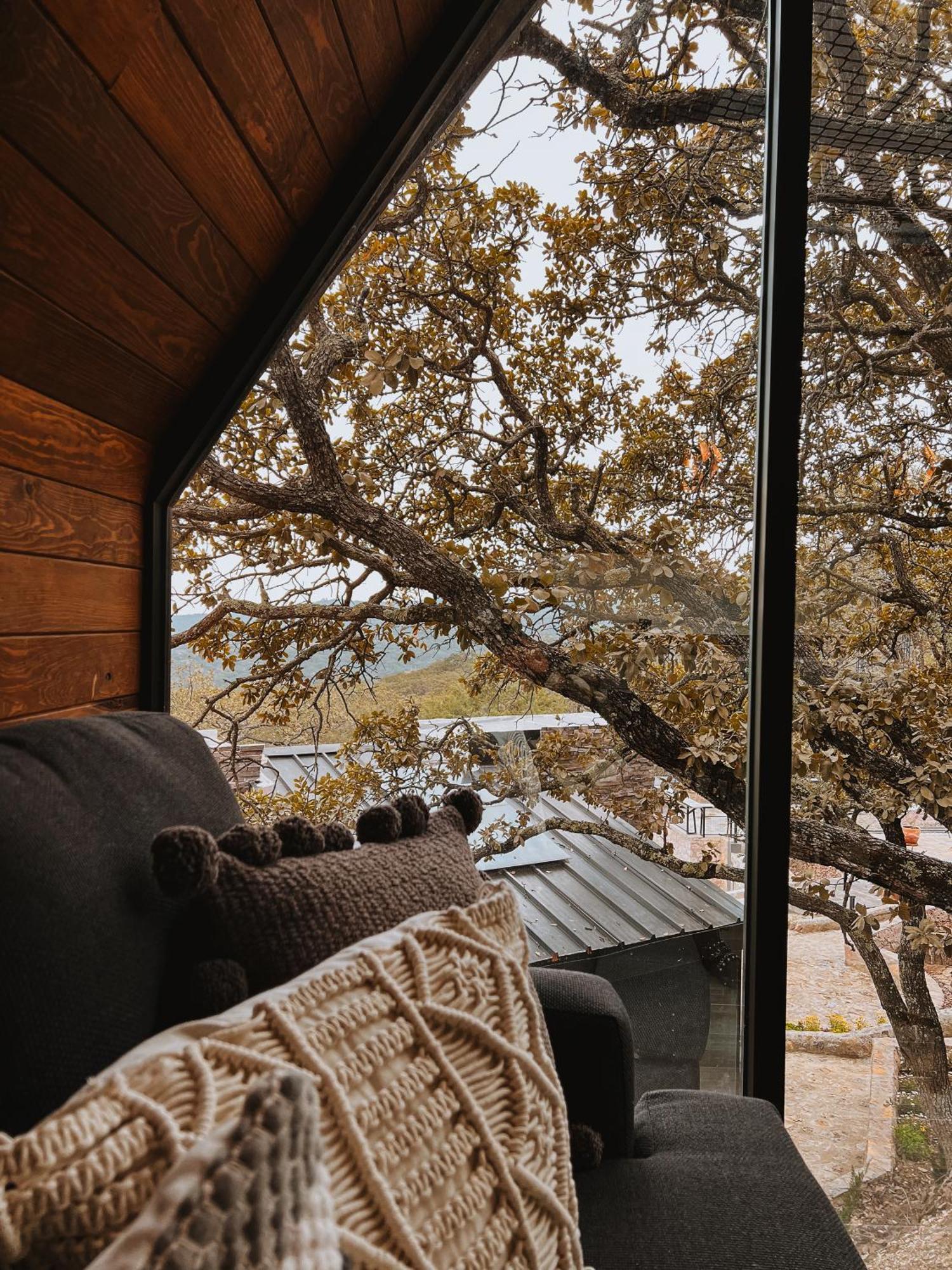 La Foret Cabanas Boutique León Dış mekan fotoğraf