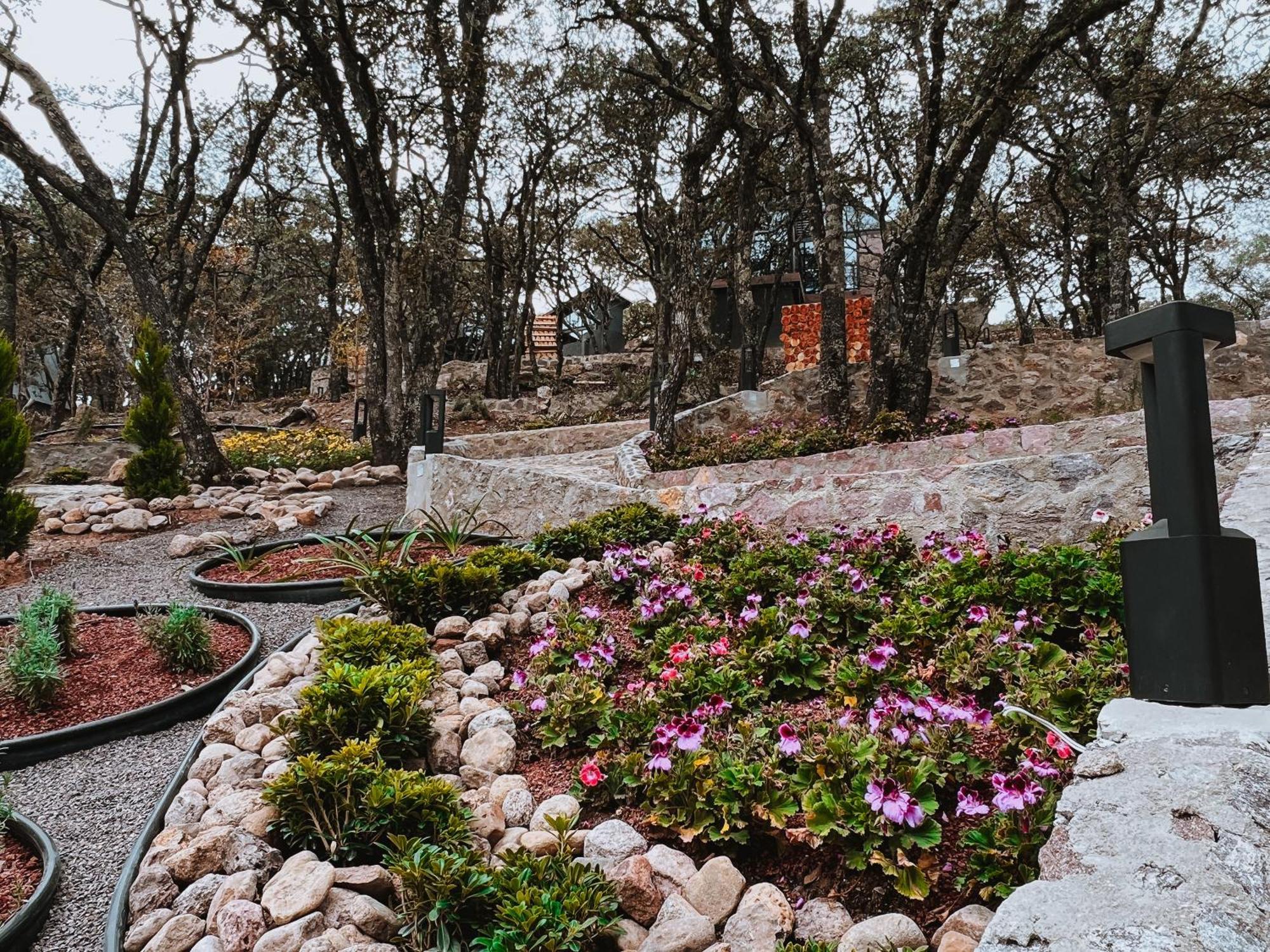 La Foret Cabanas Boutique León Dış mekan fotoğraf